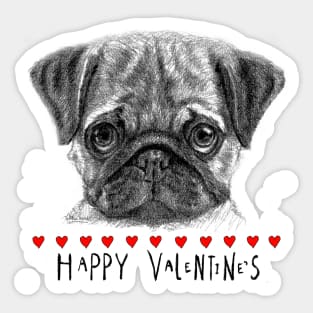 Happy Valentine's pug Sticker